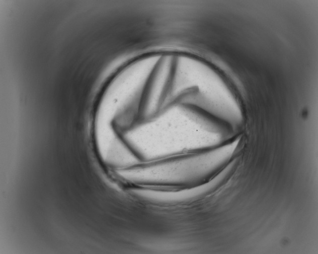 X0000100391416200807031938