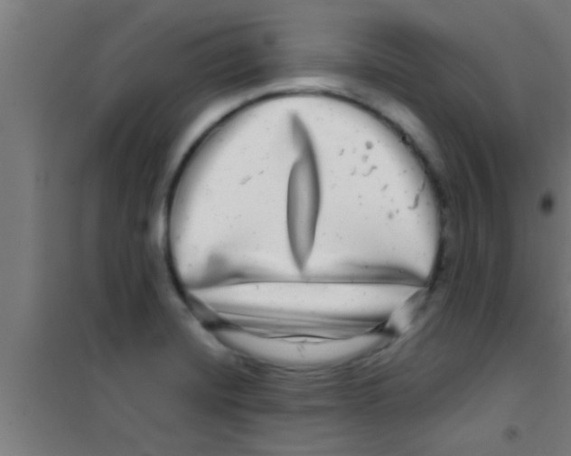 X0000100391420200807031939