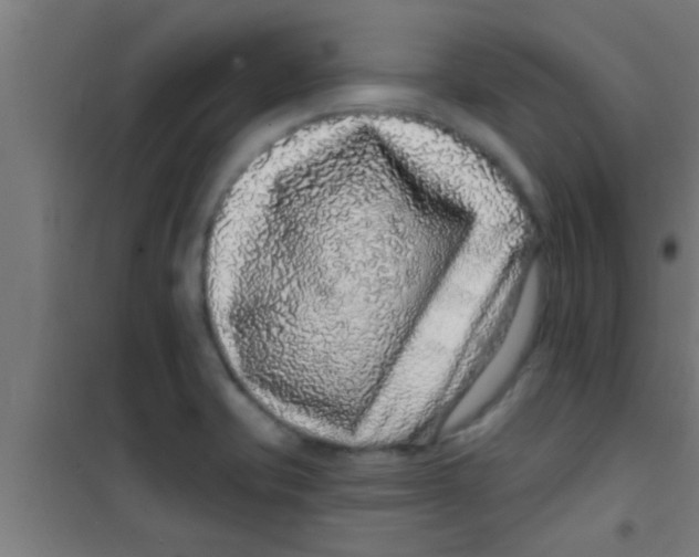 X0000100391421200807031939