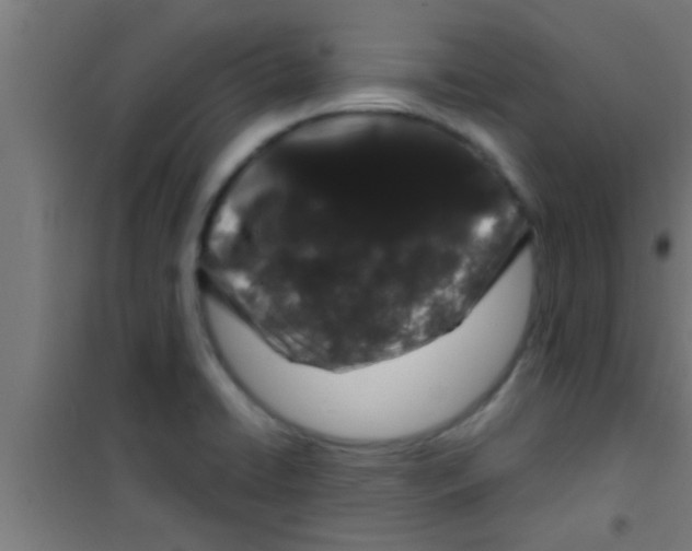 X0000100391422200807031939