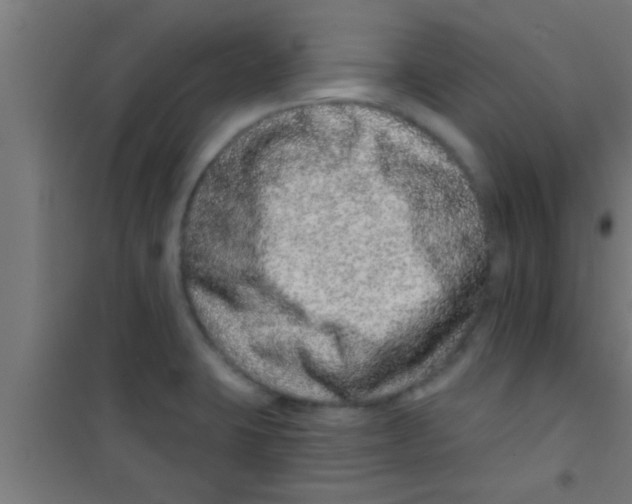 X0000100391423200807031939