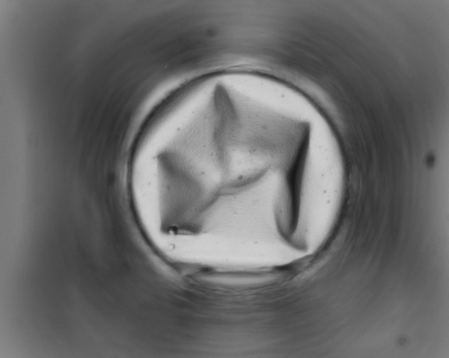 X0000100391424200807031939