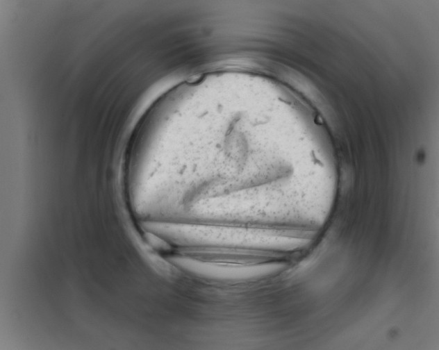 X0000100391426200807031939