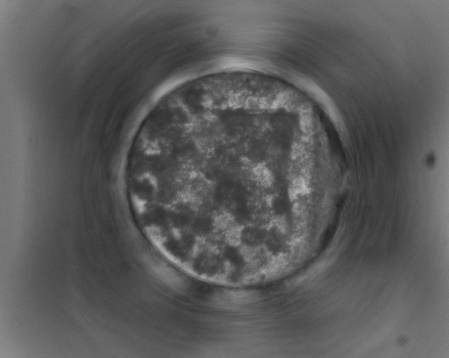 X0000100391427200807031939