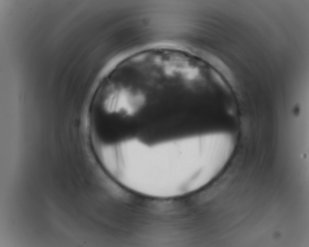 X0000100391428200807031939