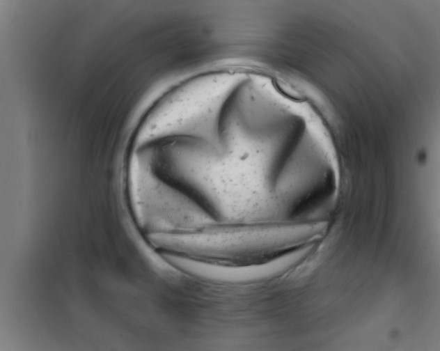 X0000100391430200807031939