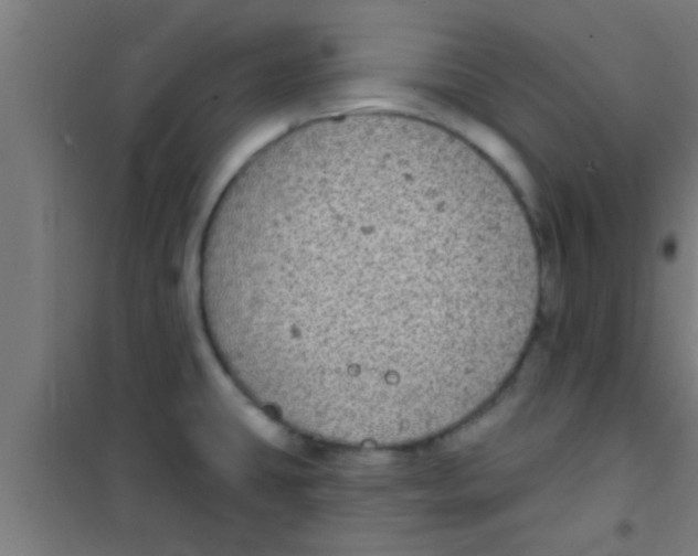 X0000100391431200807031939