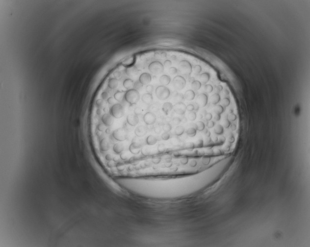 X0000100391432200807031939