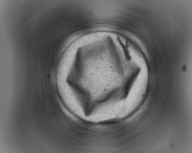 X0000100391433200807031939