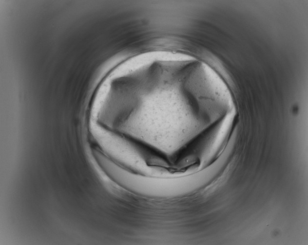 X0000100391434200807031939