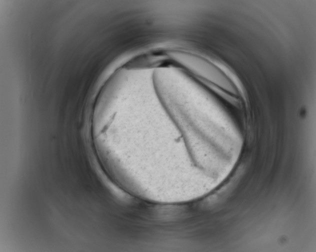 X0000100391437200807031939