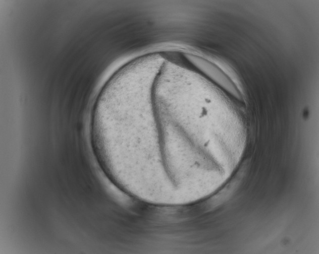 X0000100391438200807031939