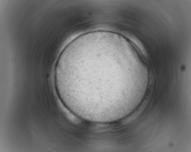 X0000100391439200807031939