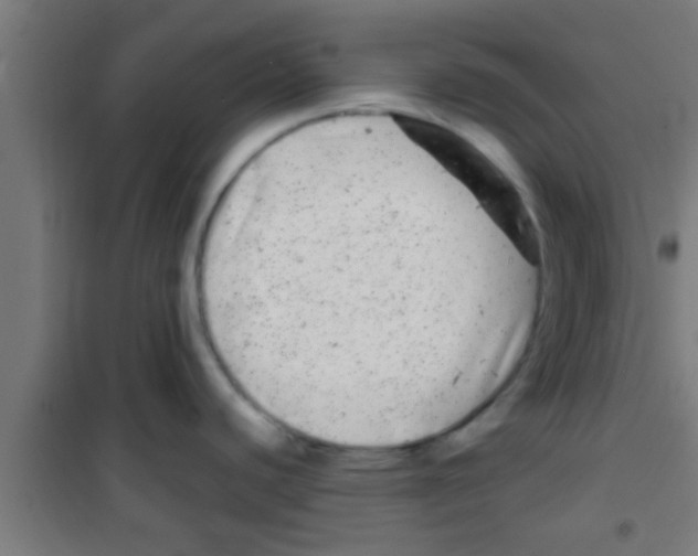 X0000100391440200807031939