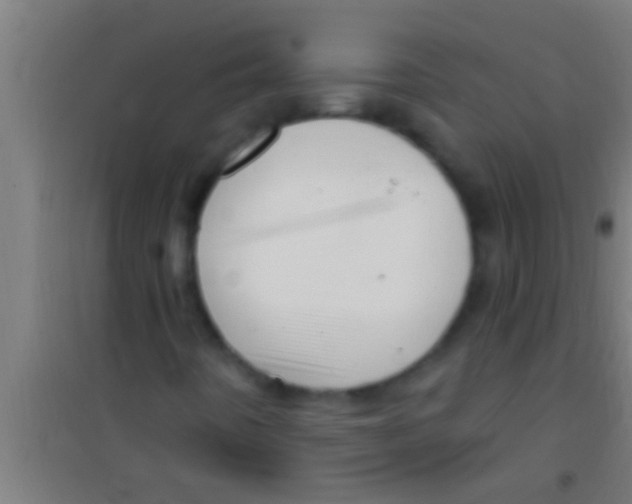 X0000100391442200807031938