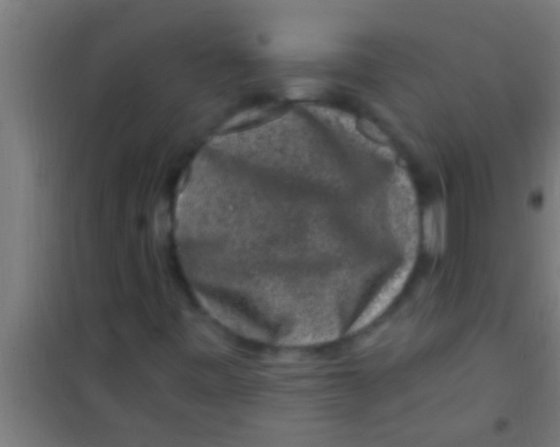 X0000100391443200807031938