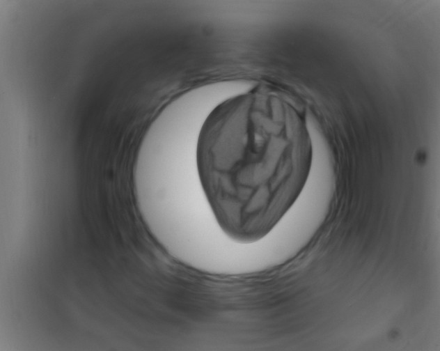 X0000100391444200807031938