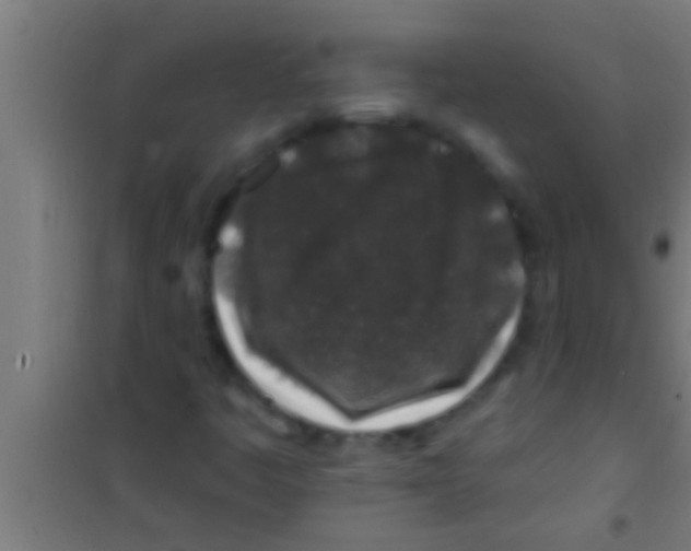 X0000100391445200807031938