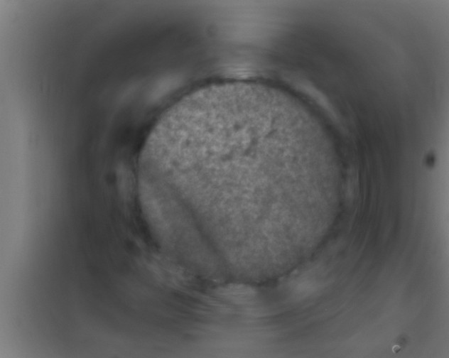 X0000100391446200807031938