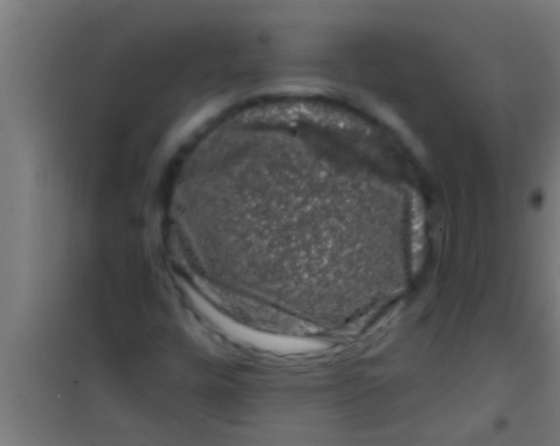 X0000100391448200807031938