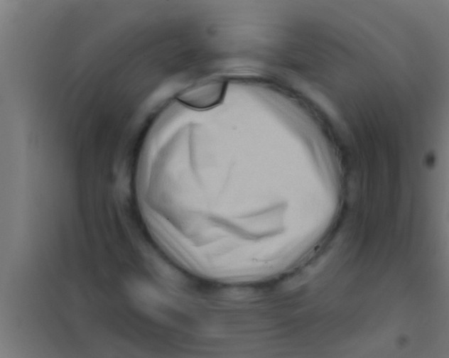 X0000100391451200807031938