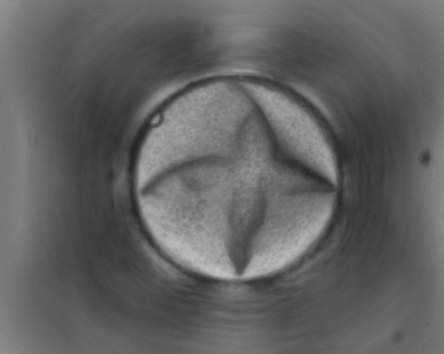 X0000100391452200807031938