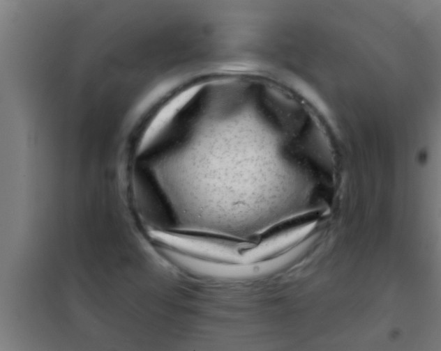 X0000100391456200807031938