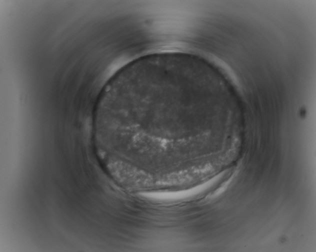 X0000100391457200807031938