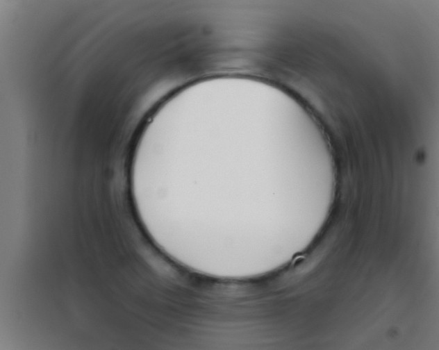 X0000100391458200807031938