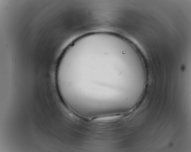 X0000100391460200807031938