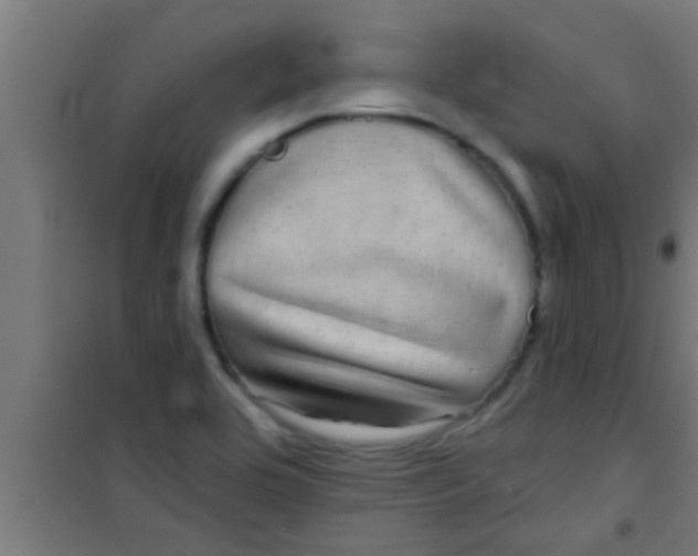 X0000100391464200807031938