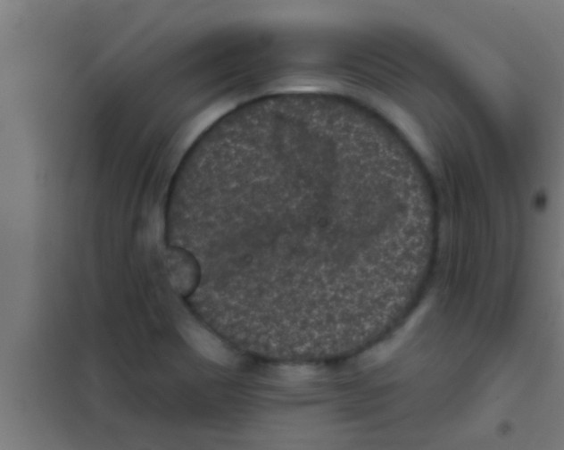 X0000100391465200807031938