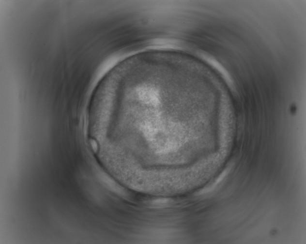 X0000100391467200807031938