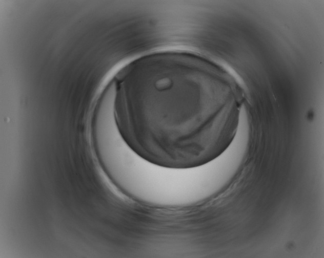 X0000100391468200807031938