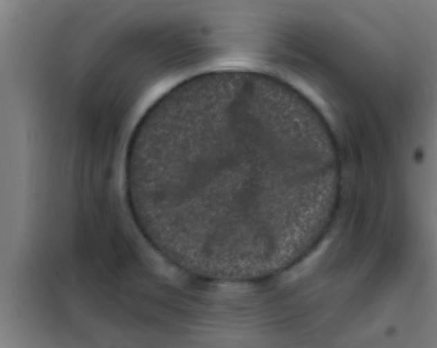 X0000100391469200807031938