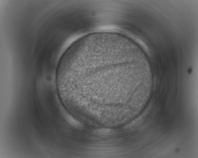 X0000100391470200807031938