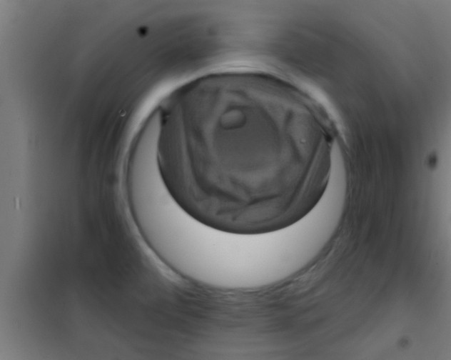 X0000100391472200807031938