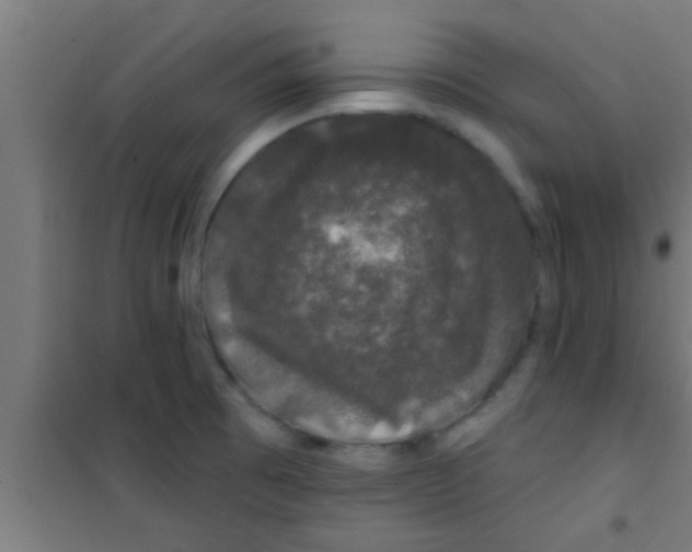 X0000100391473200807031937