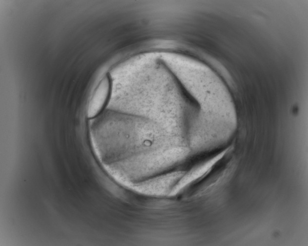 X0000100391475200807031937