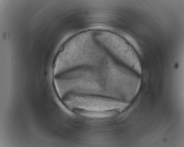 X0000100391476200807031937