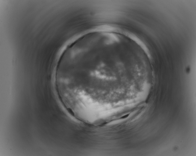 X0000100391477200807031937