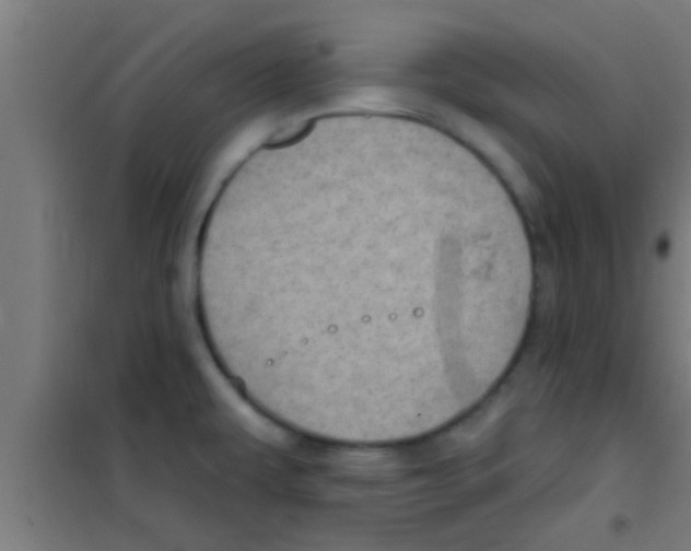 X0000100391479200807031937