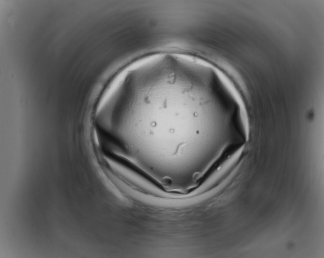 X0000100391480200807031937