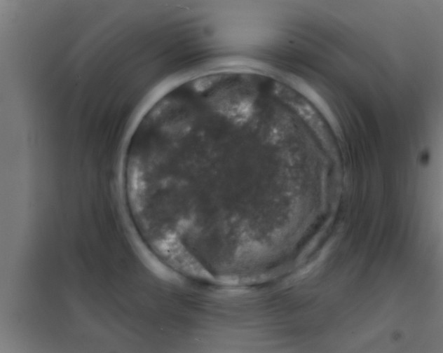 X0000100391482200807031937