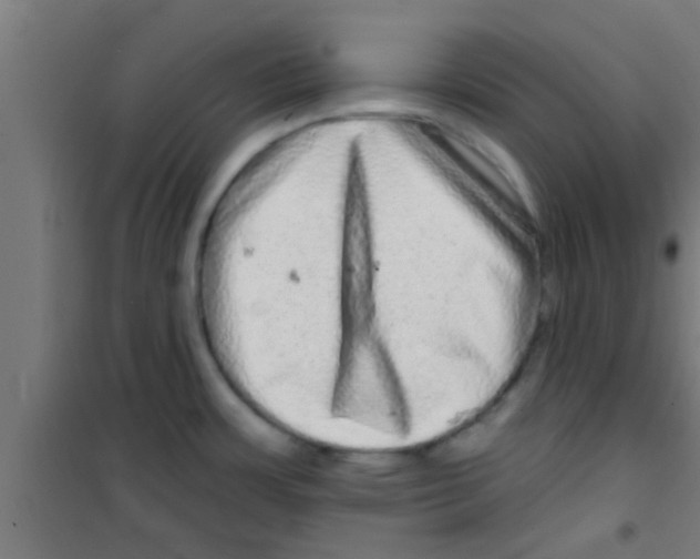 X0000100391483200807031937