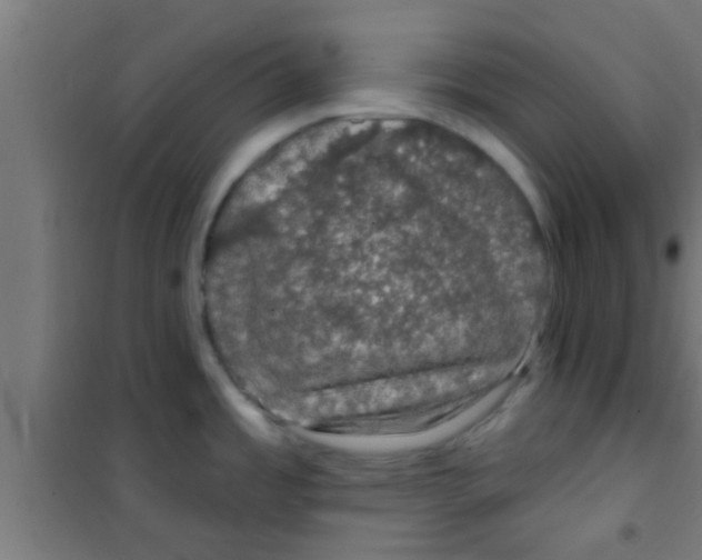 X0000100391485200807031937