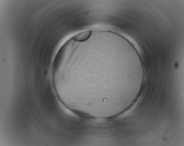 X0000100391486200807031937