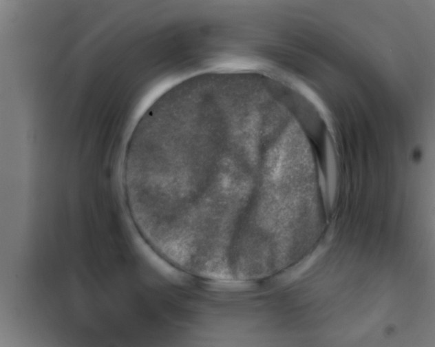 X0000100391487200807031937