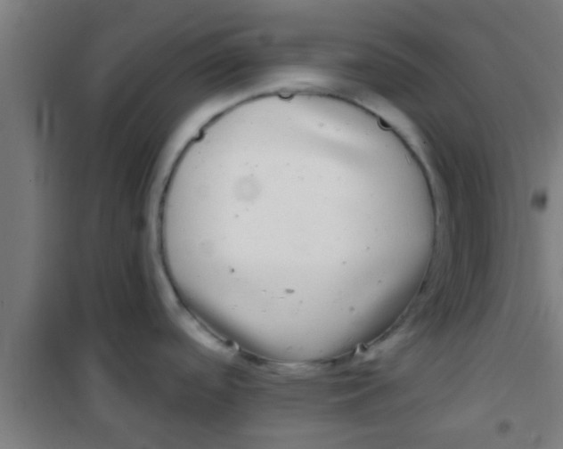 X0000100391488200807031937