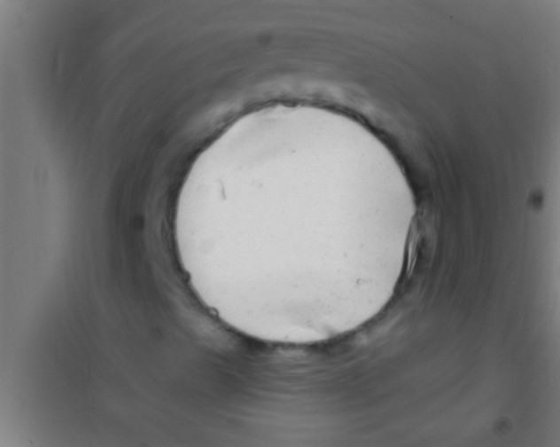 X0000100391489200807031937